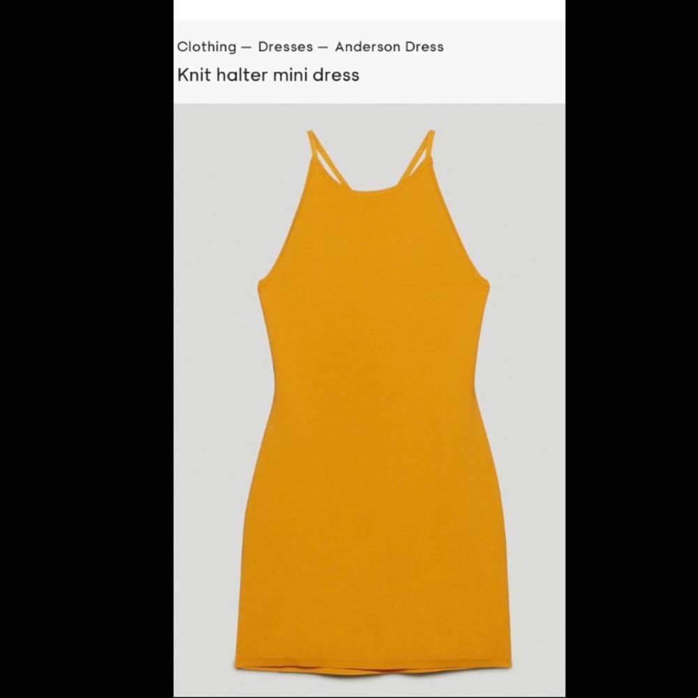 Aritzia dress